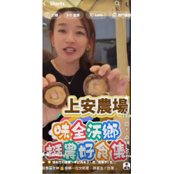 台灣最大有機乾香菇