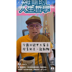 烏龜除了是長壽的象徵，海龜更有一套人生哲學