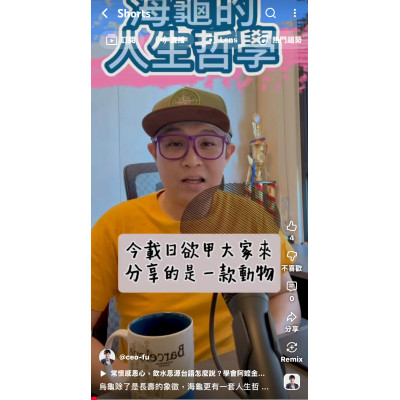 烏龜除了是長壽的象徵,海龜更有一套人生哲學 烏龜除了是長壽的象徵,海龜更有一套人生哲學